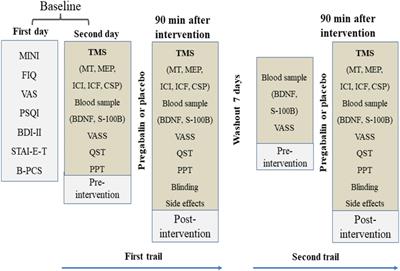 Novel Insights of Effects of Pregabalin on Neural Mechanisms of Intracortical Disinhibition in Physiopathology of Fibromyalgia: An Explanatory, Randomized, Double-Blind Crossover Study